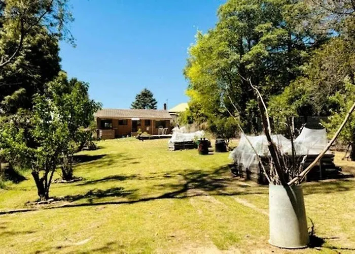 Skyview Cottage