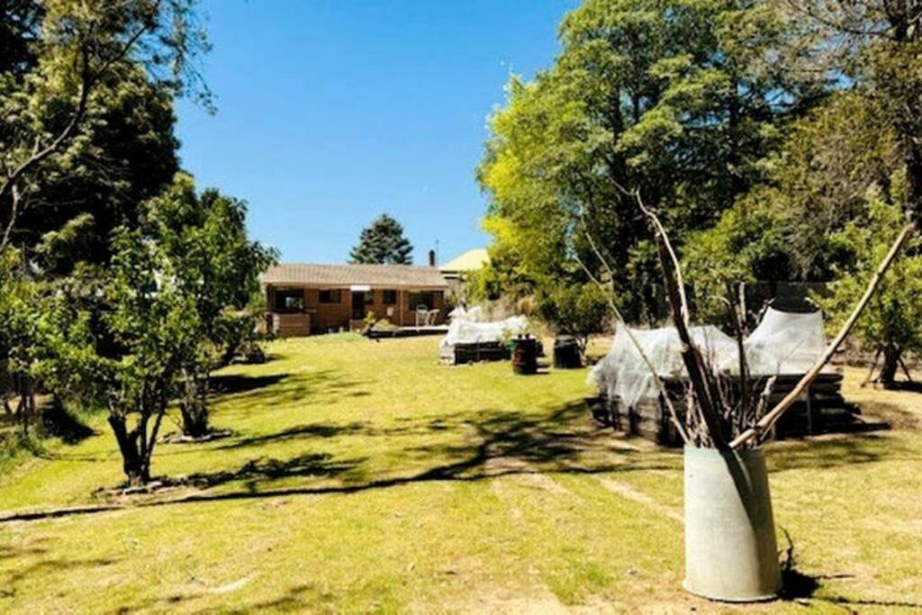 Skyview Holiday home *